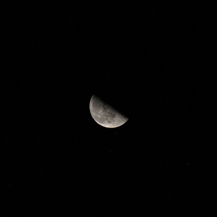 Photo IMG_4207