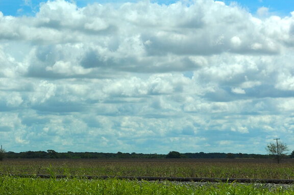 Photo IMG_4268