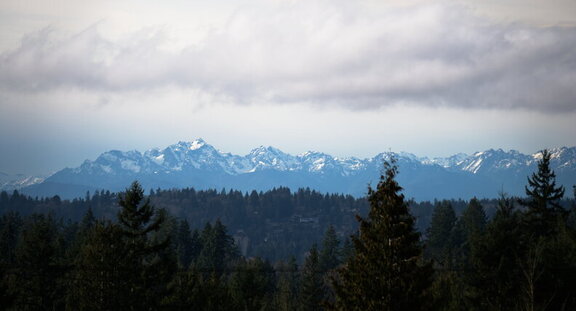 Photo Olympics_1