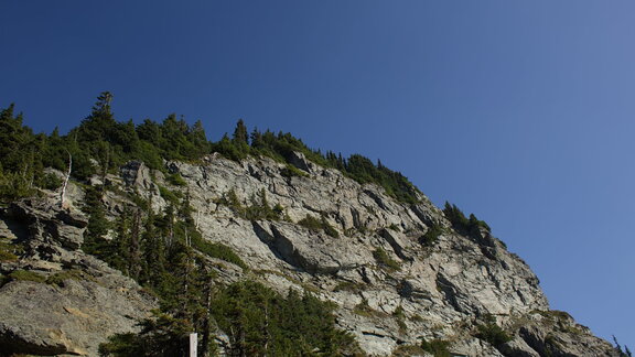 Photo IMG_6300