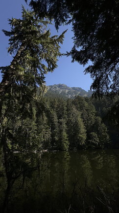 View from Lake Metam