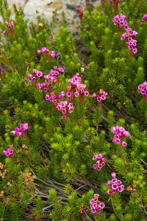 Photo DSC02308
