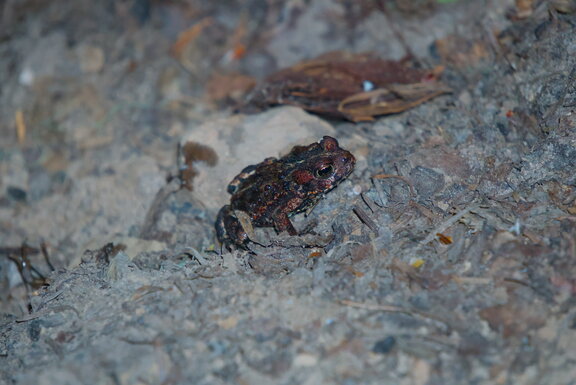Photo DSC02606
