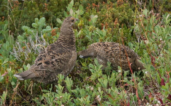 Photo DSC02838
