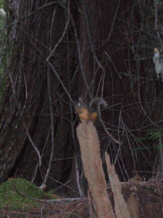 Photo DSC02980