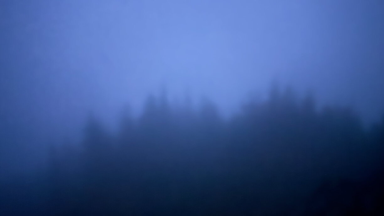 Fog at twilight