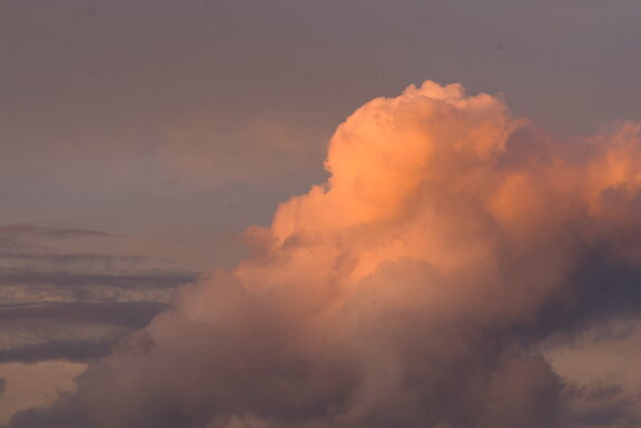Photo DSC03203