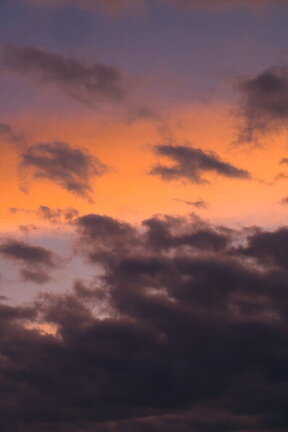 Photo DSC03257