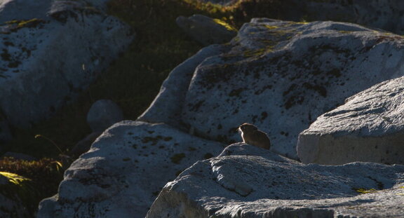 Photo DSC03602