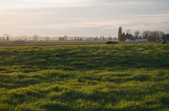 Photo DSC00365