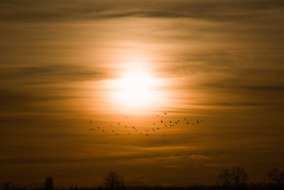 Photo DSC00376