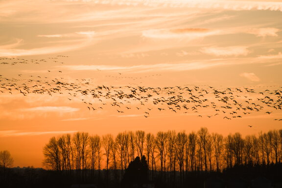 Photo DSC00475