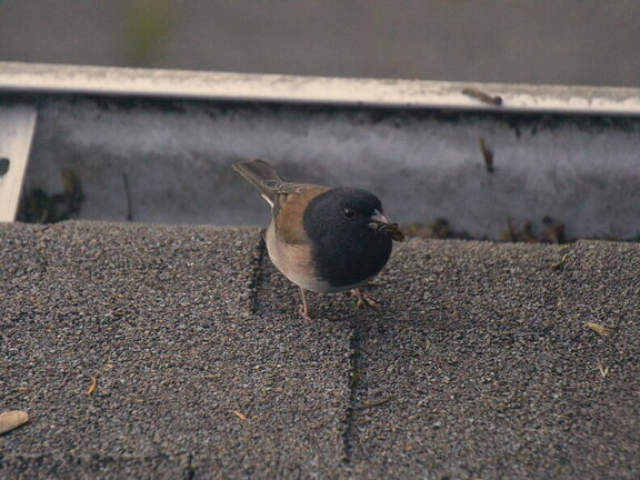 Photo DSC03848