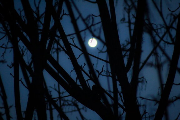 Photo IMG 4802-2