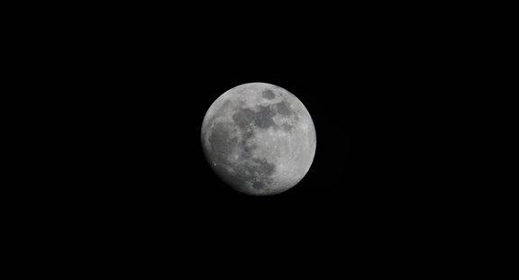 Photo DSC00833