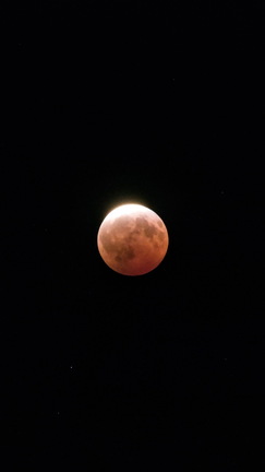 Photo DSC02572_01