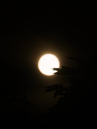 Photo DSC03337_01